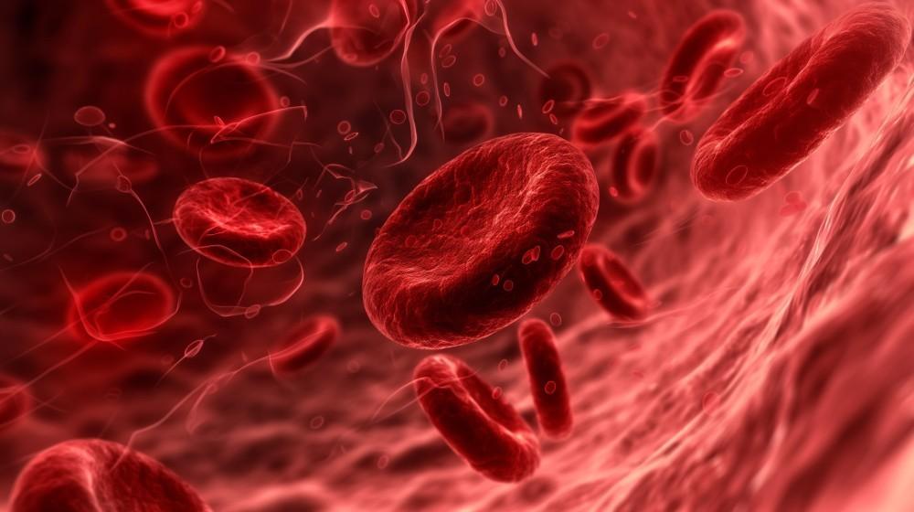 Passport to Safety: Your Guide for Preventing Travel-Related Blood Clots This Summer